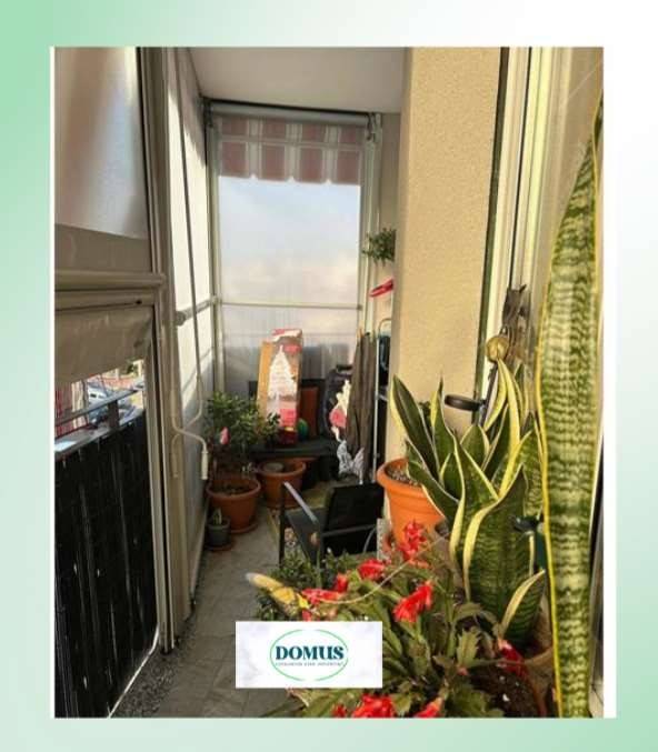 immagine annuncio 7 di 13