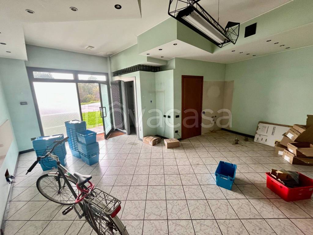 immagine annuncio 5 di 12