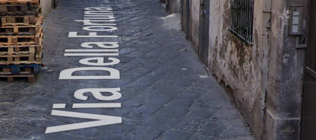 immagine annuncio 2 di 12