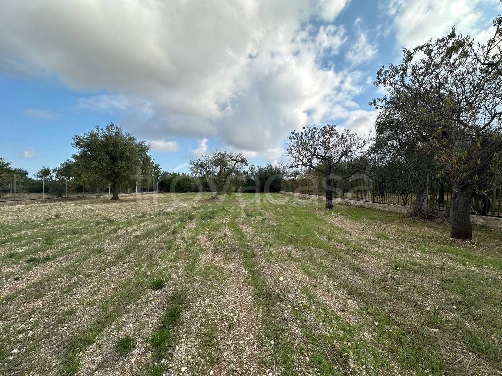 immagine annuncio 1 di 2