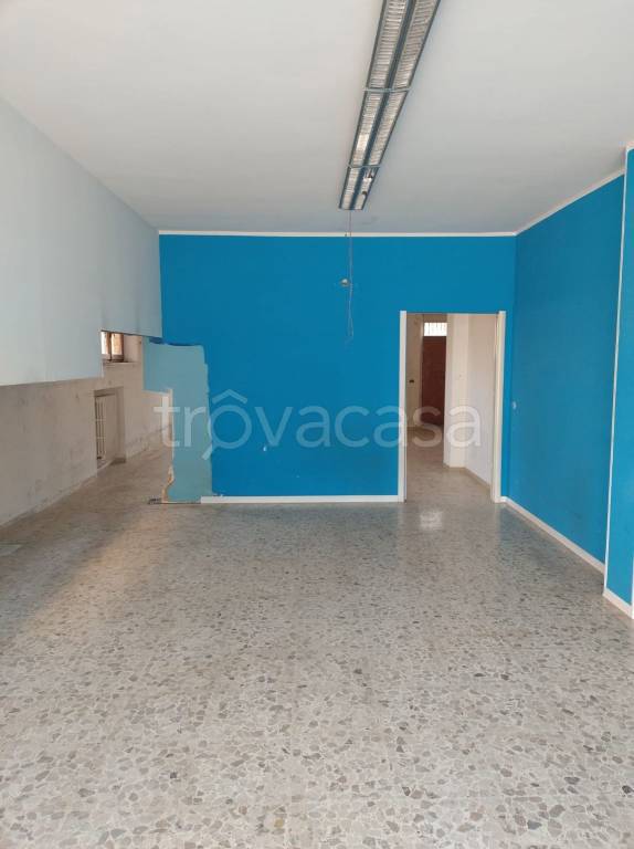 immagine annuncio 3 di 8