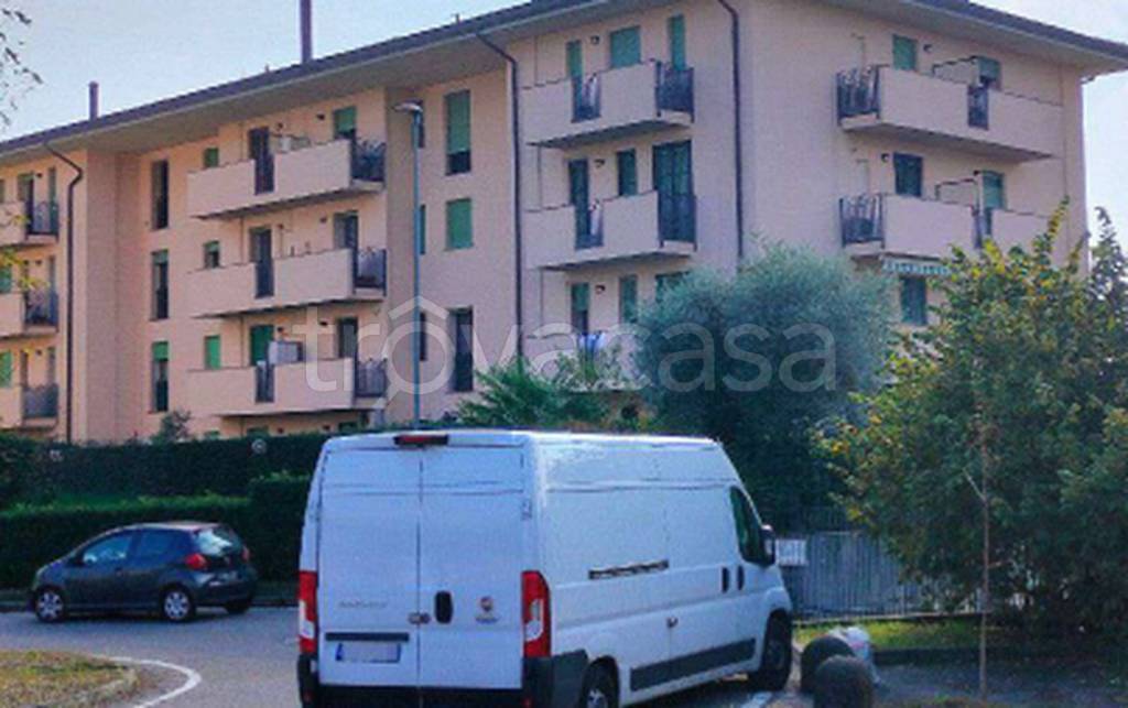 immagine annuncio 7 di 13