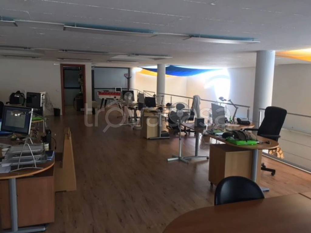 immagine annuncio 9 di 14