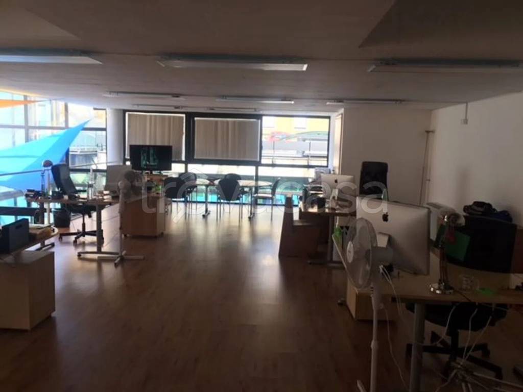 immagine annuncio 12 di 14