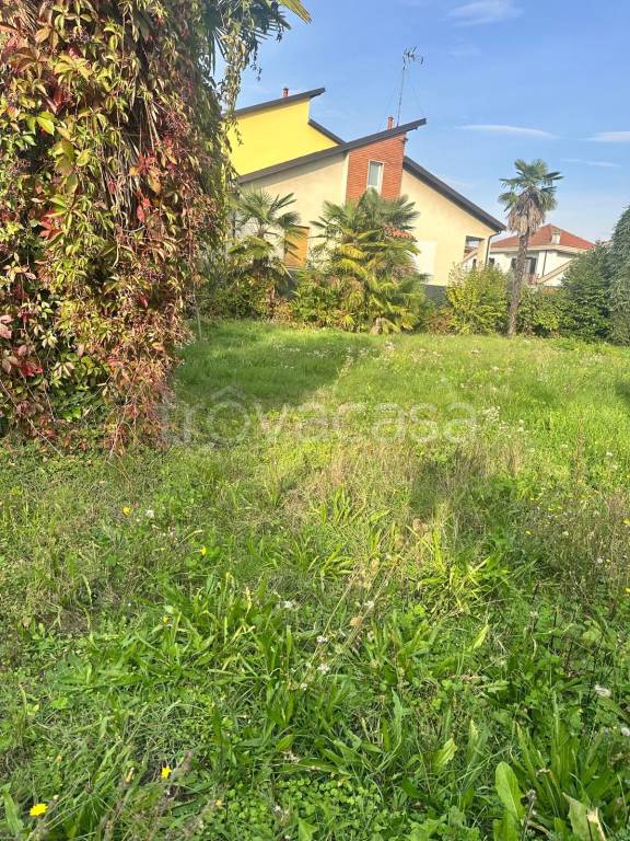 immagine annuncio 2 di 12