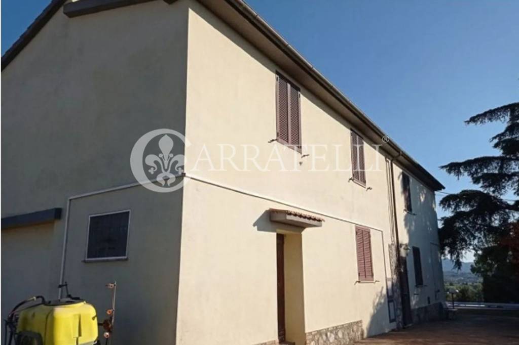 immagine annuncio 5 di 7