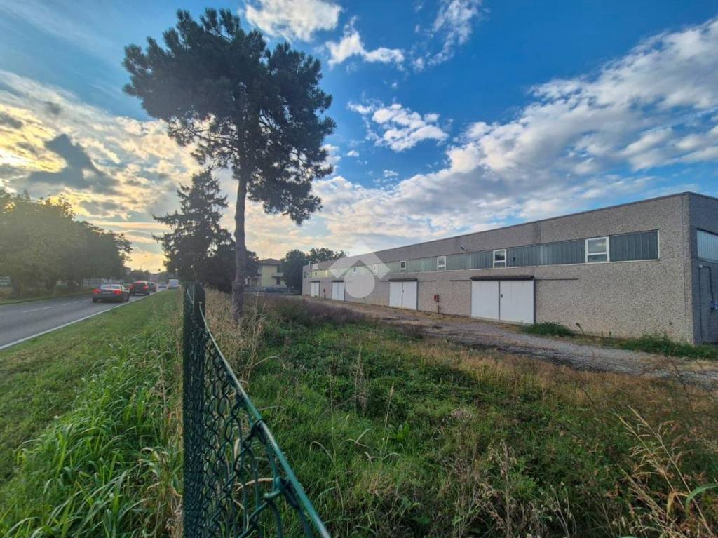 immagine annuncio 12 di 15