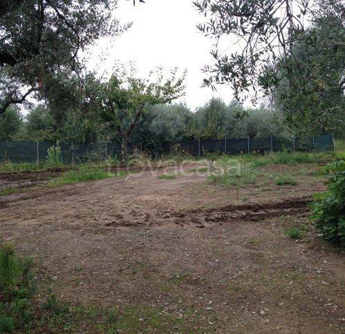 immagine annuncio 4 di 12