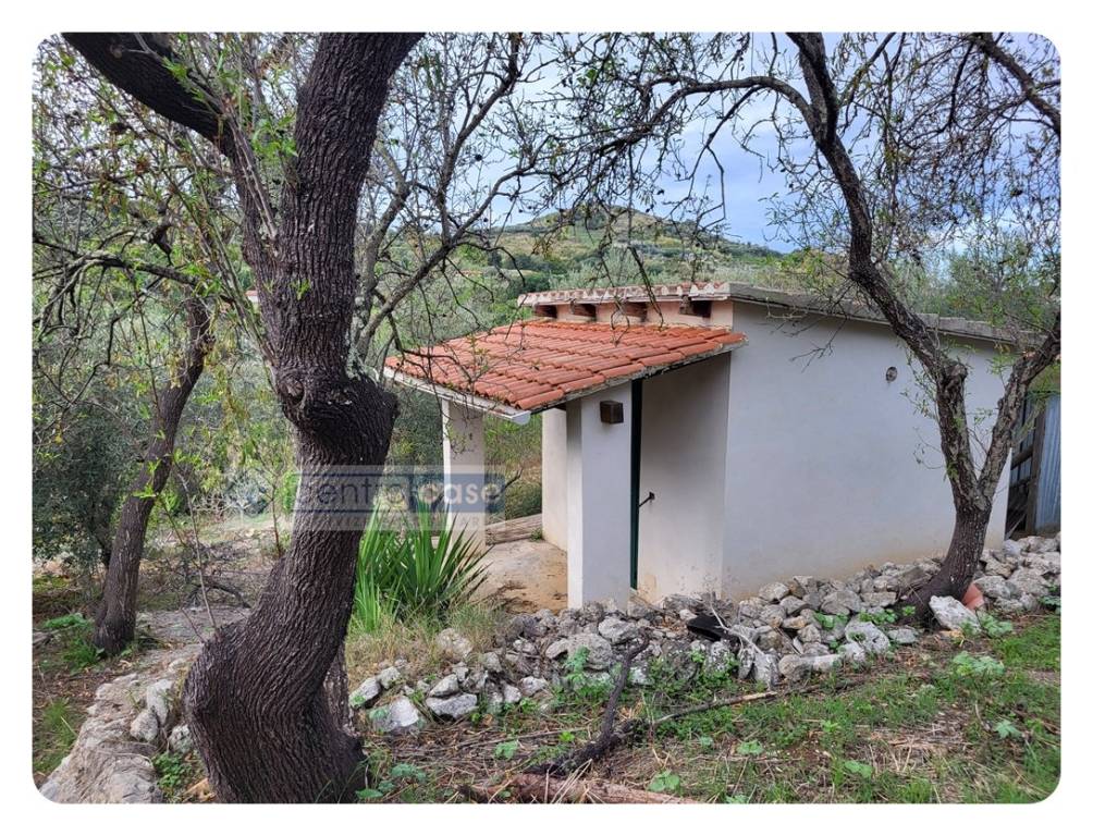 immagine annuncio 1 di 2