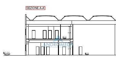 immagine annuncio 3 di 12