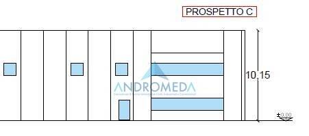 immagine annuncio 5 di 12