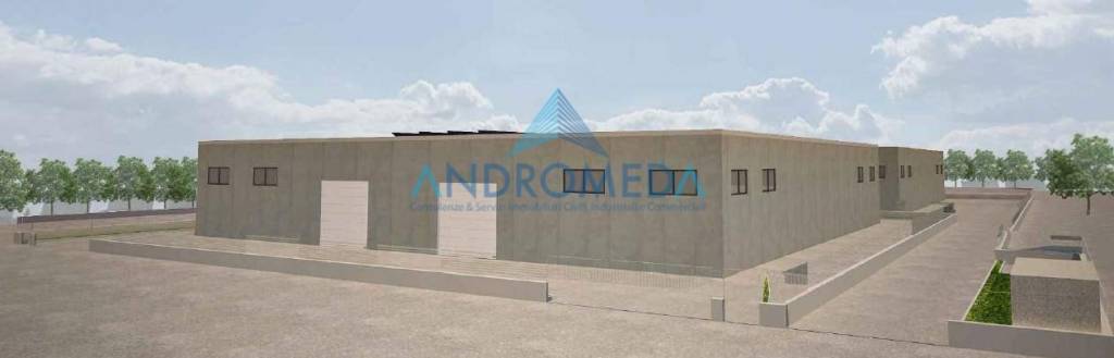 immagine annuncio 10 di 12