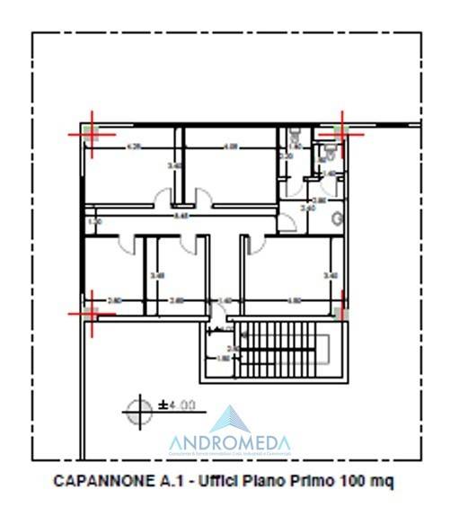 immagine annuncio 11 di 12