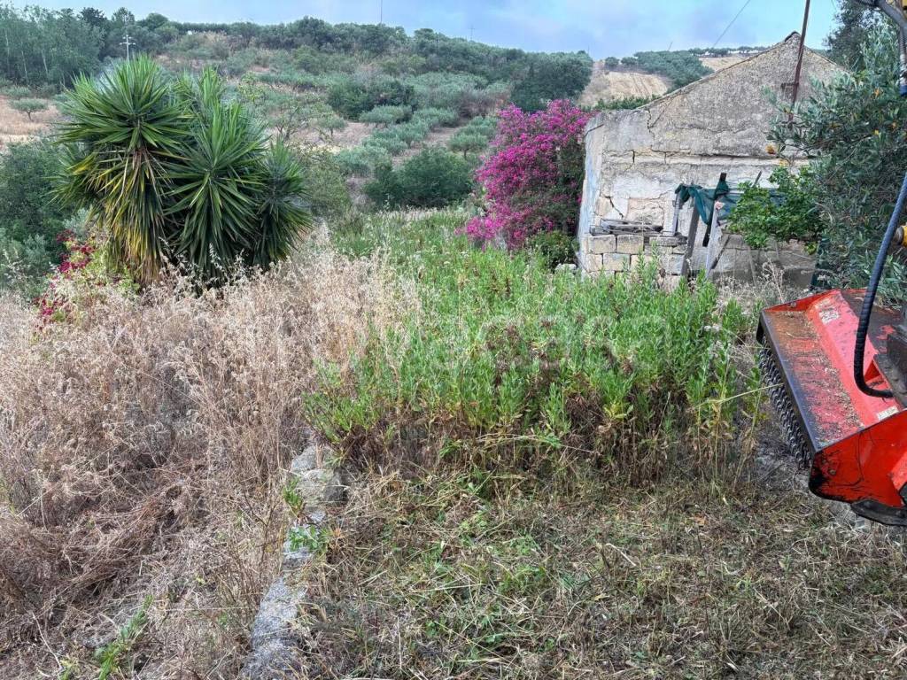 immagine annuncio 4 di 6