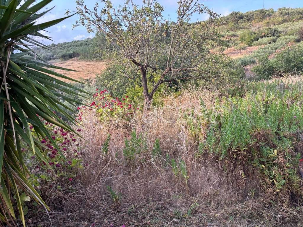 immagine annuncio 5 di 6