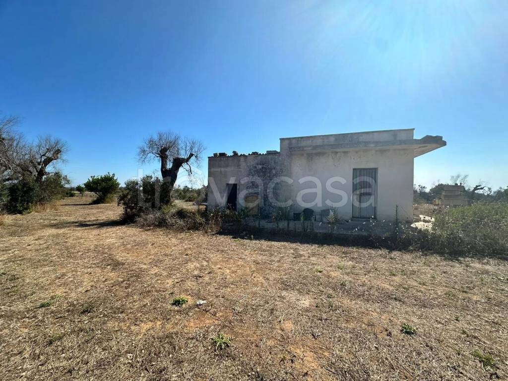 immagine annuncio 7 di 12