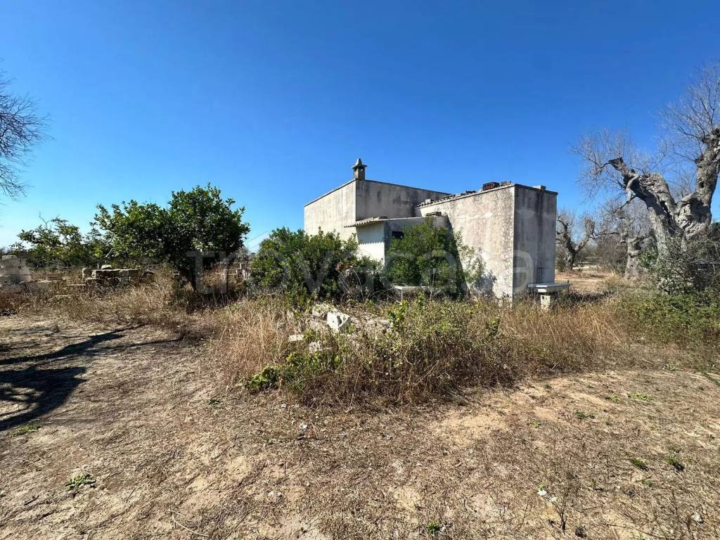 immagine annuncio 11 di 12