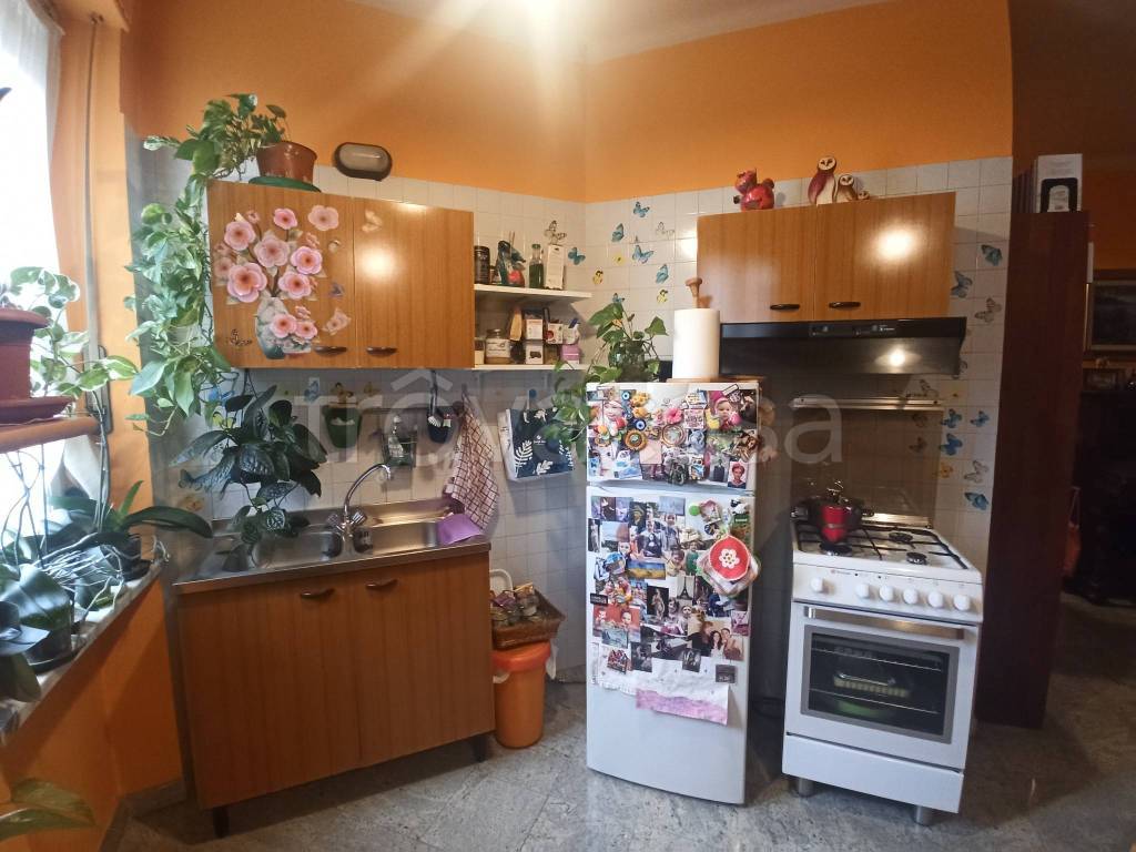 immagine annuncio 3 di 14