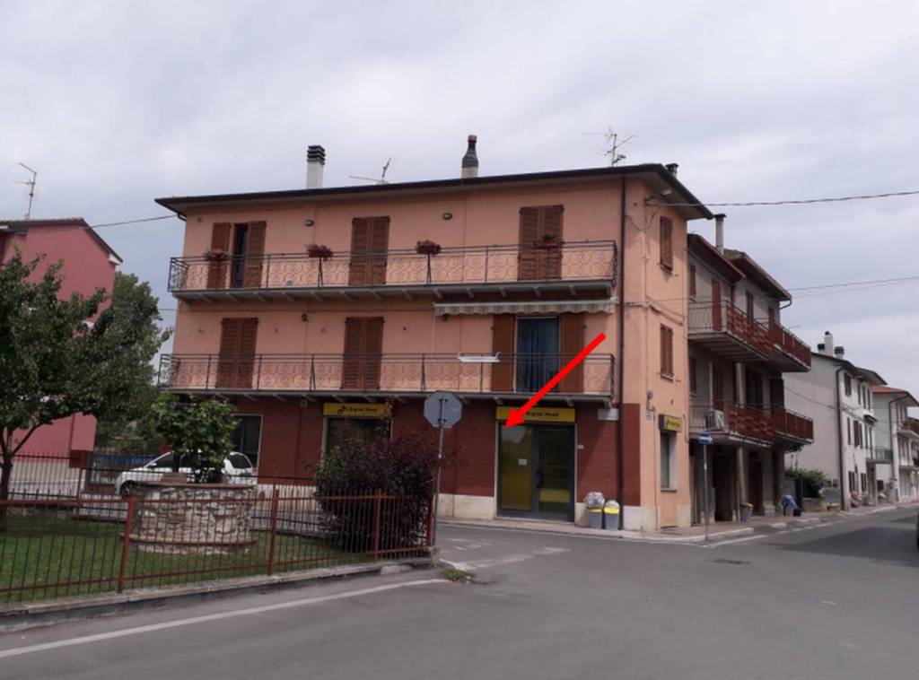 immagine annuncio 7 di 11