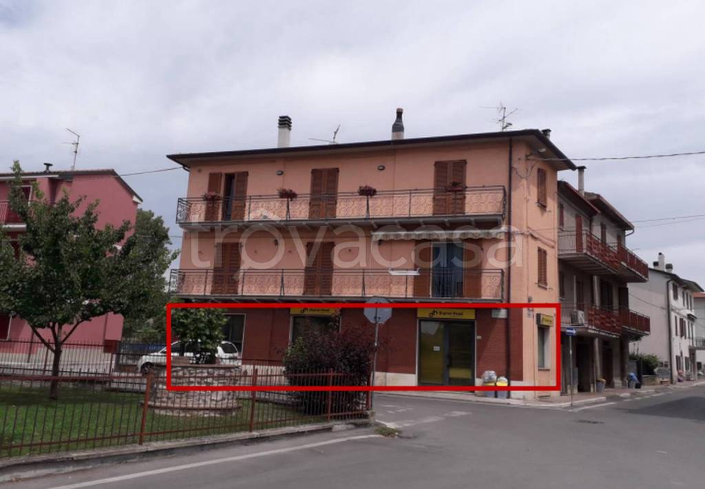 immagine annuncio 8 di 11