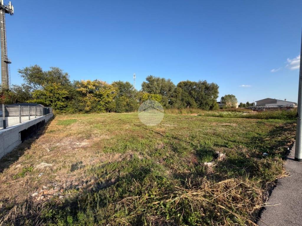 immagine annuncio 5 di 9