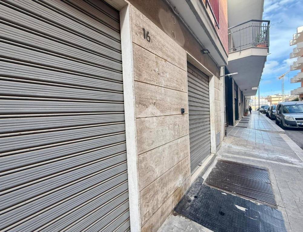 immagine annuncio 1 di 14