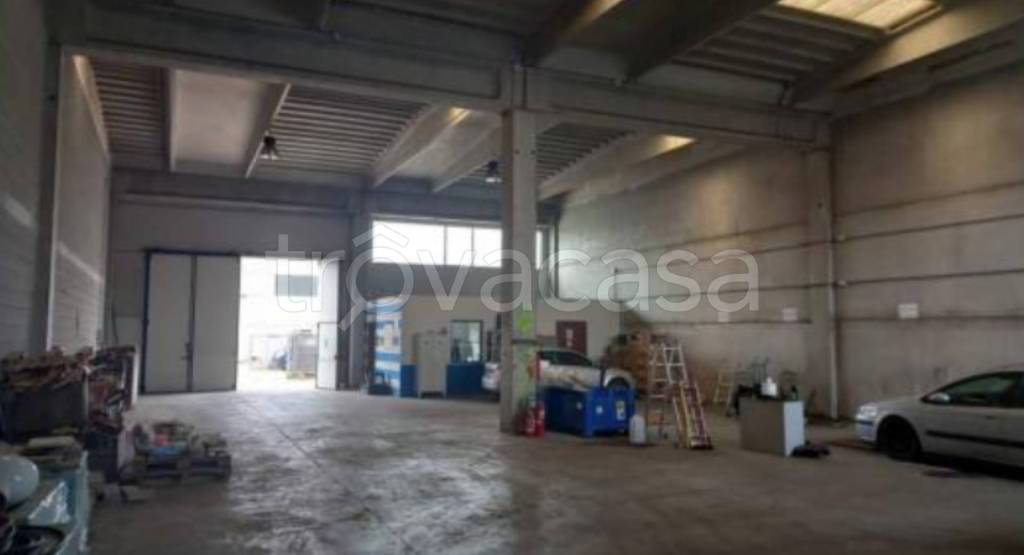 immagine annuncio 4 di 11