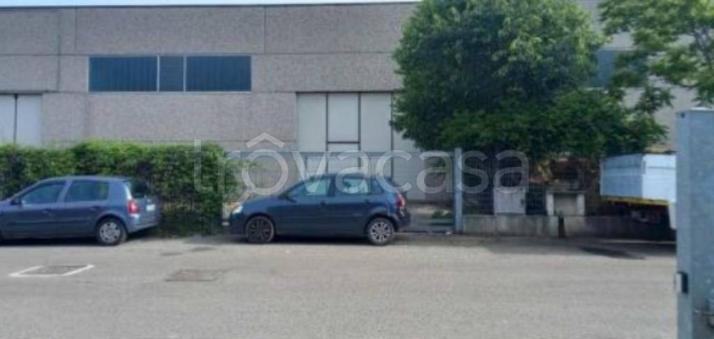 immagine annuncio 1 di 11