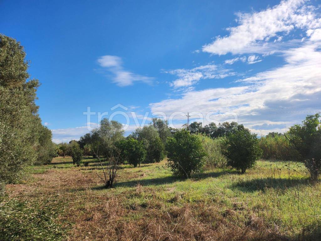 immagine annuncio 1 di 7