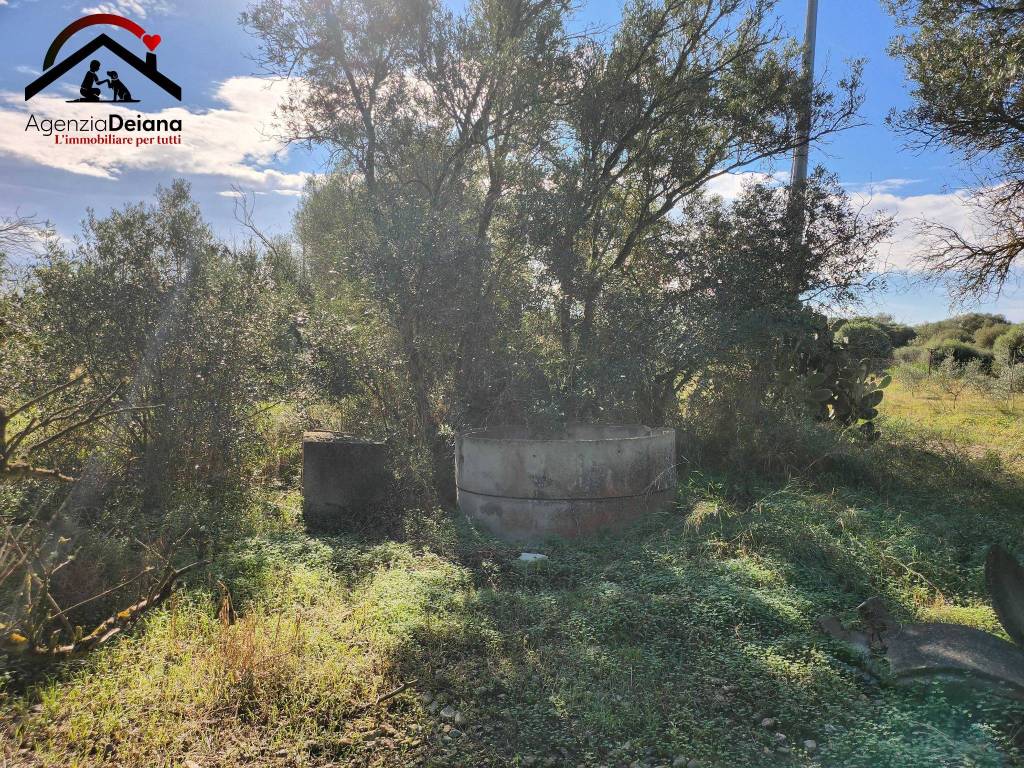 immagine annuncio 3 di 7