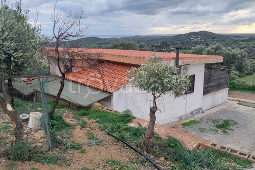 immagine annuncio 5 di 11