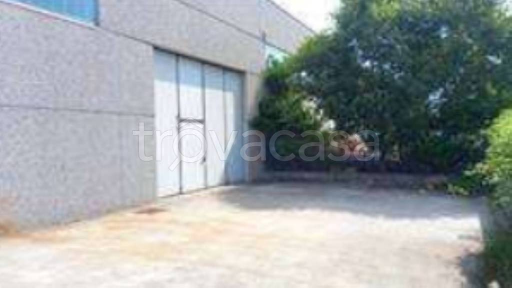 immagine annuncio 9 di 11