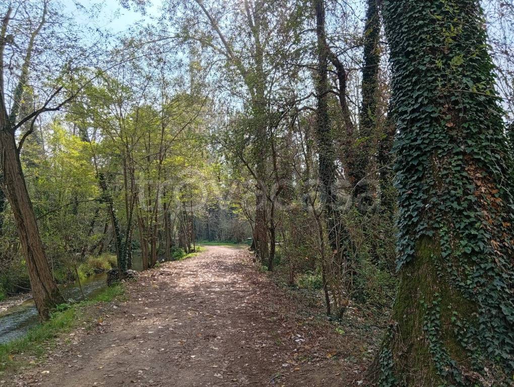 immagine annuncio 3 di 12