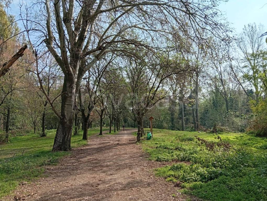 immagine annuncio 8 di 12