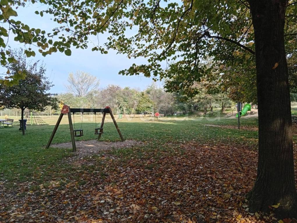 immagine annuncio 10 di 12