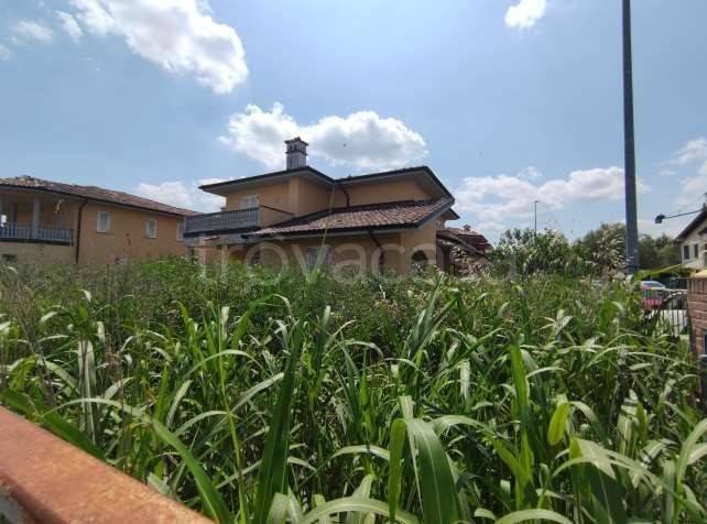 immagine annuncio 11 di 12