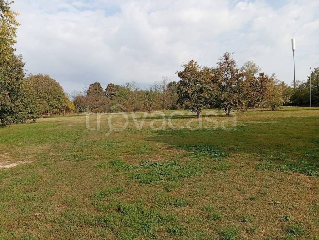 immagine annuncio 9 di 12