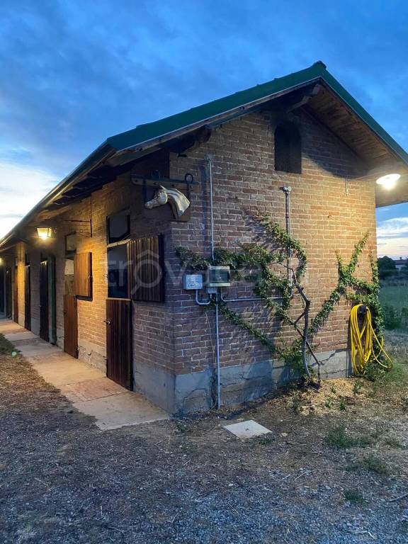 immagine annuncio 2 di 14