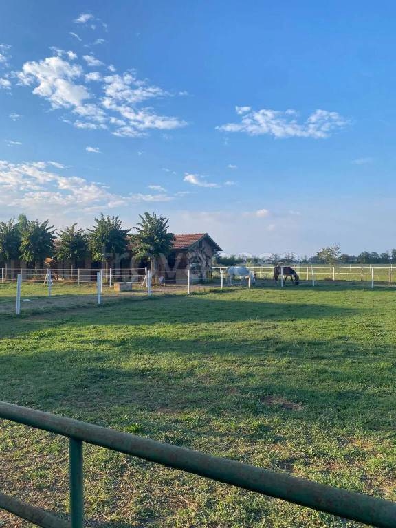 immagine annuncio 5 di 14