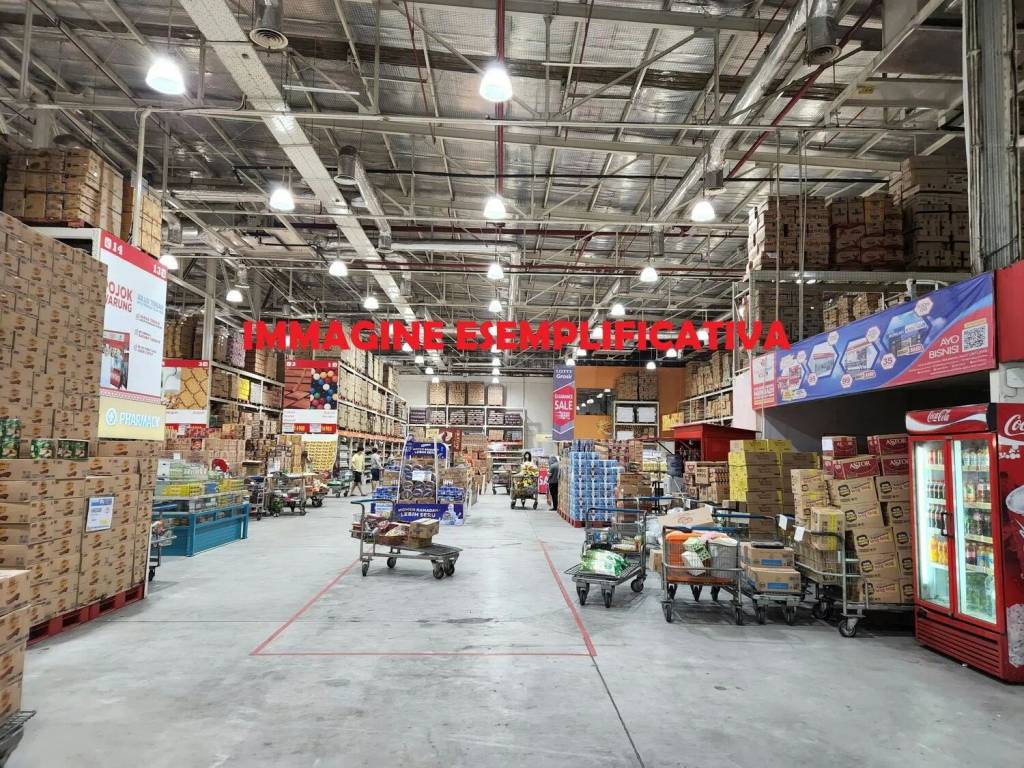 immagine annuncio 3 di 14