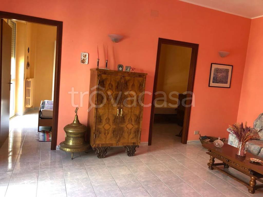 immagine annuncio 2 di 6