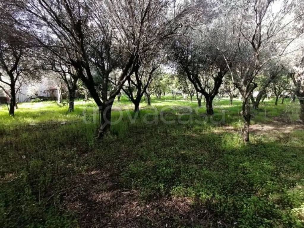 immagine annuncio 1 di 3