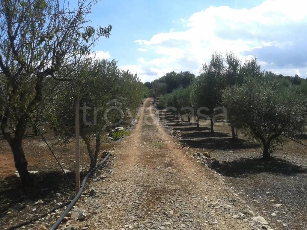 immagine annuncio 9 di 12