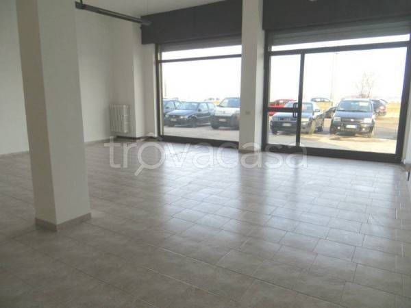 immagine annuncio 2 di 8