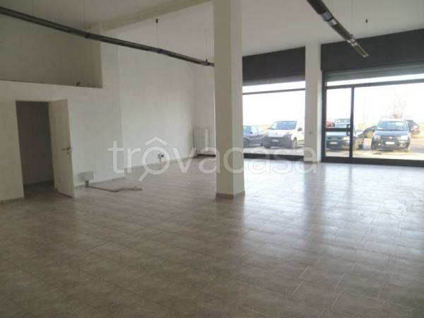 immagine annuncio 3 di 8