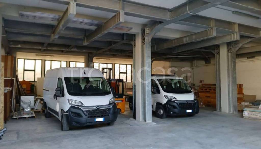 immagine annuncio 12 di 15