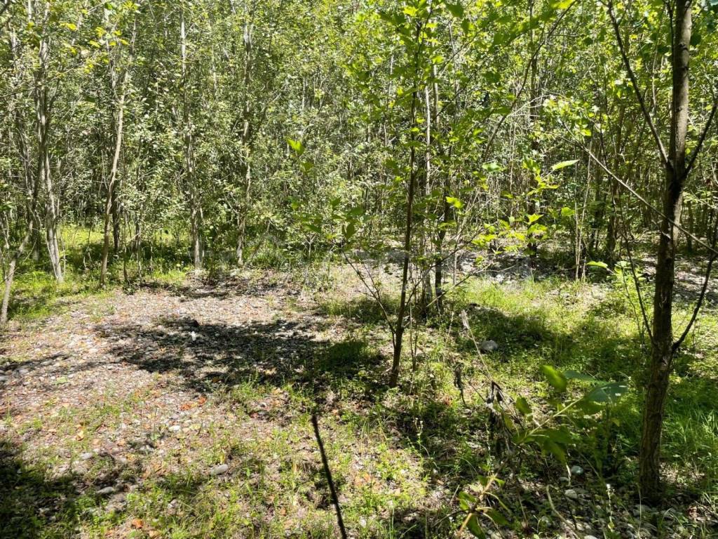 immagine annuncio 6 di 13