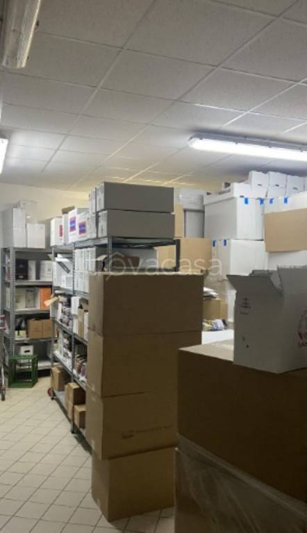 immagine annuncio 6 di 11