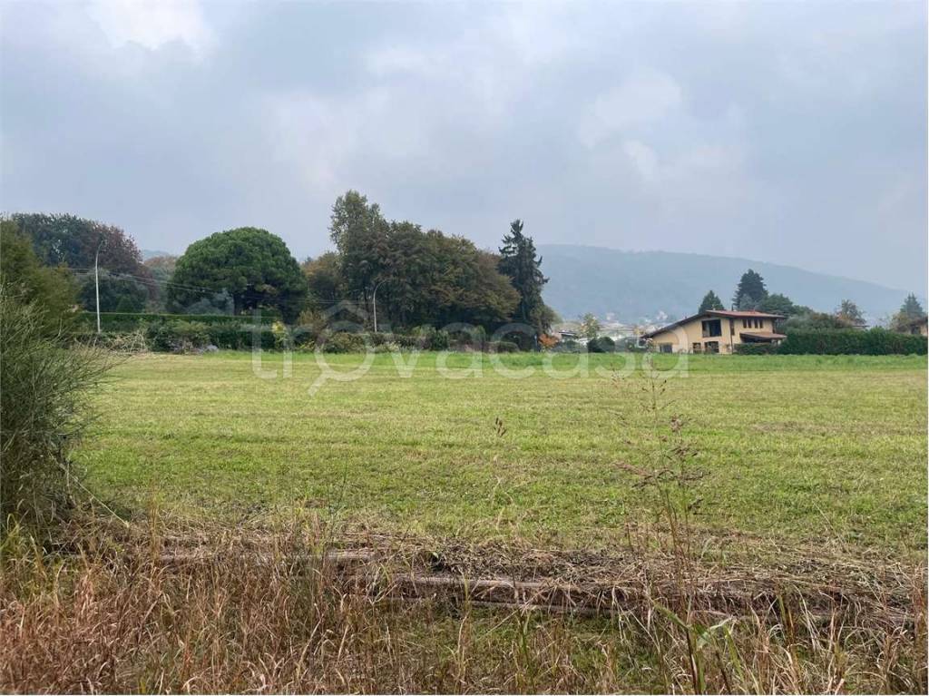 immagine annuncio 6 di 8