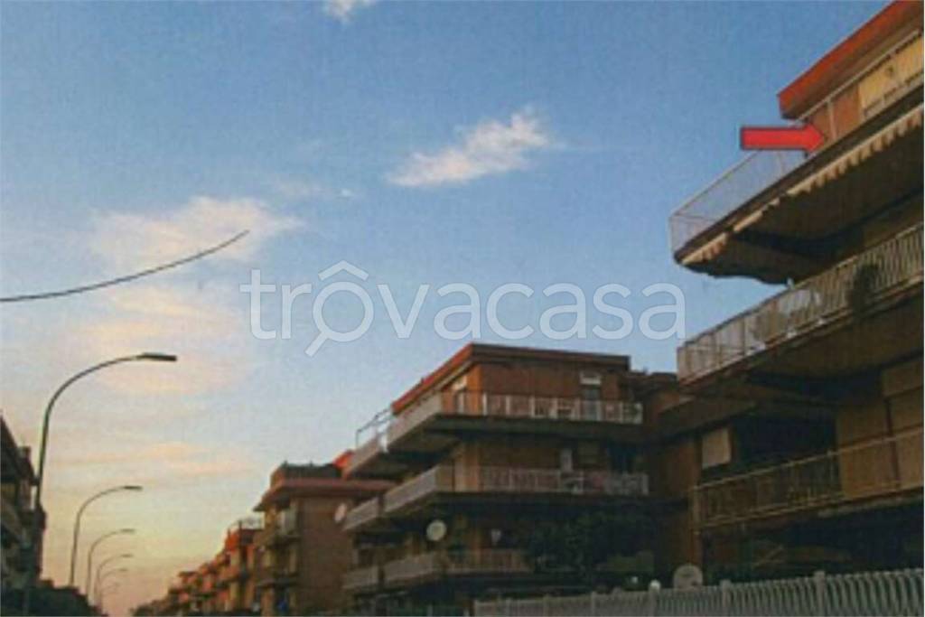 immagine annuncio 4 di 6